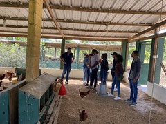 IMG-4494 (1)